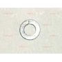 973500196 WASHER,LOCK,M6,ZN PL